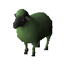 Springsheared ewe (unchecked)