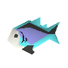 Raw rainbow fish