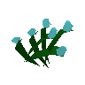 Flax
