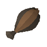Raw desert sole