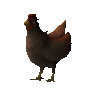 Oomlie hen (unchecked)