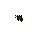 Black Giftwrapped Bow Token