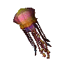 Phoebe pet token