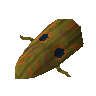 Broodoo shield