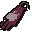 Team-7 cape