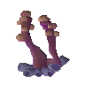 Enriched fungal spore