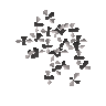 Flies