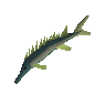 Leaping sturgeon