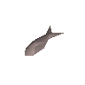 Sardine