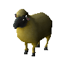 Fallfaced ewe (unchecked)