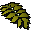 Curry leaf