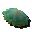 Green blubber jellyfish