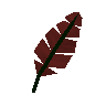 Red feather