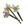 White flowers