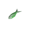 Raw sardine