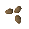 Liverwort seed