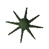 Raw karambwan