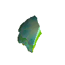 1/3 green blubber jellyfish