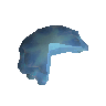 2/3 blue blubber jellyfish