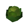 Cannonball cabbage