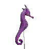 Seahorse Balloon