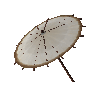 Coconut parasol