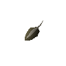 Evil turnip seed
