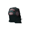 Mycelium visor web