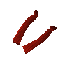 Dragon limbs