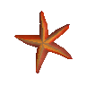 Throwing starfish token