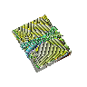 Praesul codex