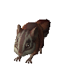 Carnivorous chinchompa (unchecked)