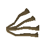Jute fibre