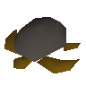Sea turtle