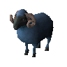 Winterwold ram (unchecked)