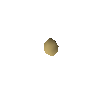 Orange tree seed