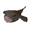 Monkfish