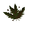 Grimy cadantine