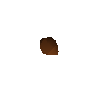 Avocado seed