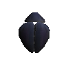 Plain whirligig shell