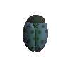 Swift whirligig shell