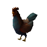 Rooster (unchecked)