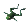 Sky-blue poison frog (unchecked)