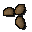 Liverwort seed