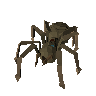 Corpse spider egg (unchecked)