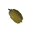 Carambola
