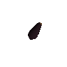 Ciku seed