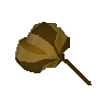 Grand seed pod
