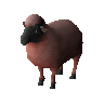Summerdown ewe (unchecked)