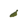Maple seed